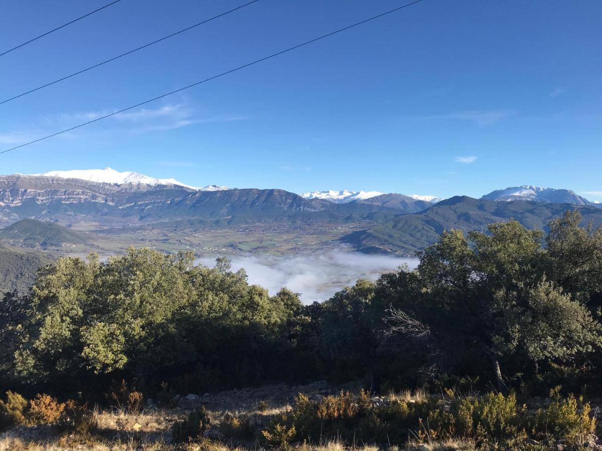Apartamento Cinca Pirineo En 艾因萨 外观 照片