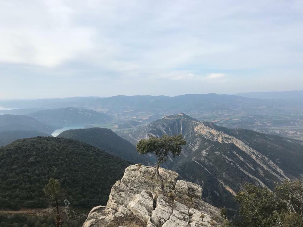 Apartamento Cinca Pirineo En 艾因萨 外观 照片