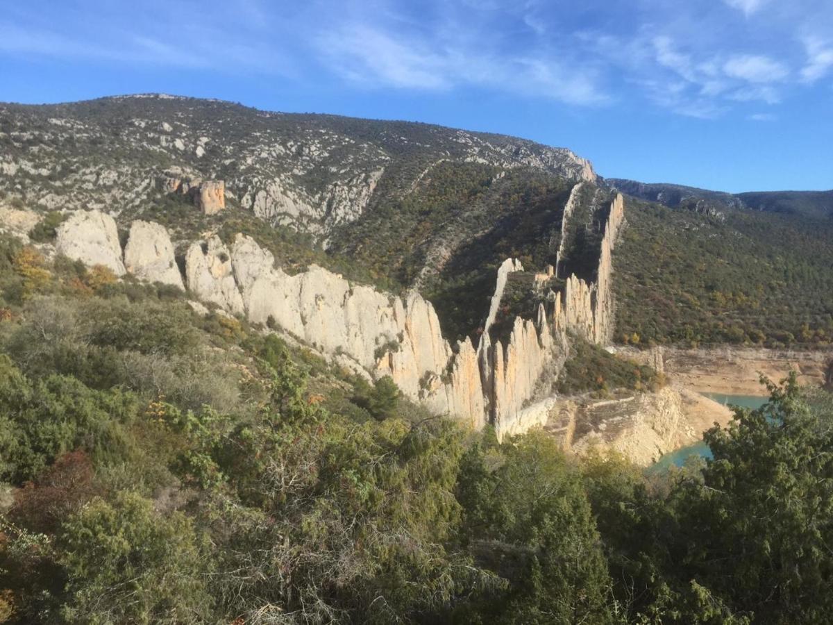 Apartamento Cinca Pirineo En 艾因萨 外观 照片