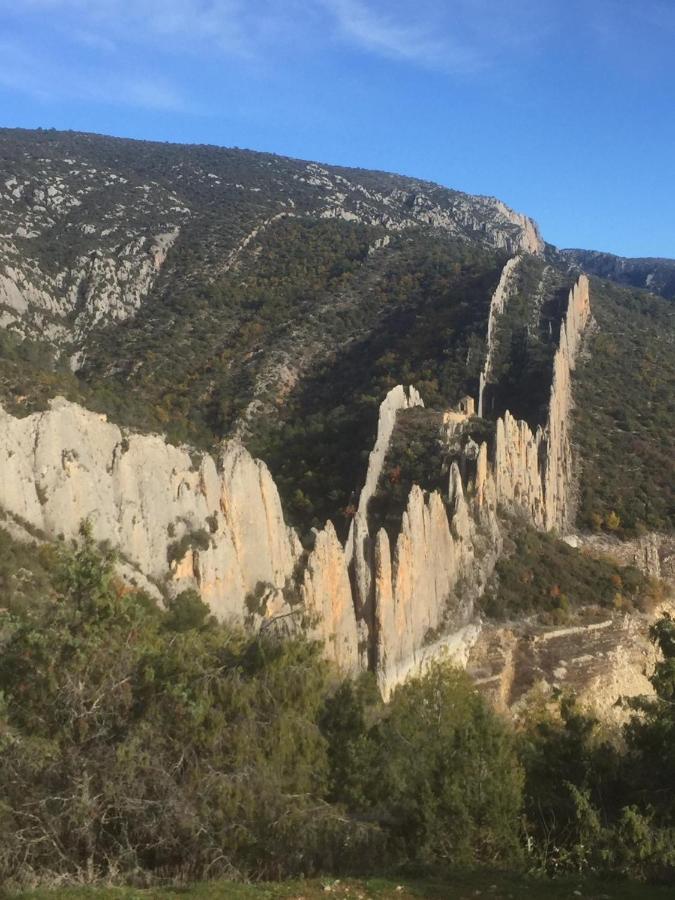 Apartamento Cinca Pirineo En 艾因萨 外观 照片